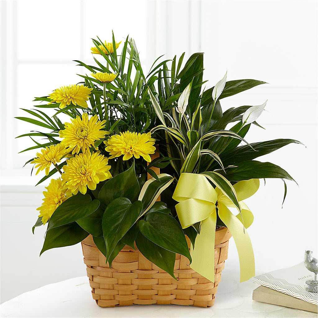 Loving Light Dishgarden – Samantha Rose Designs, Marietta GA