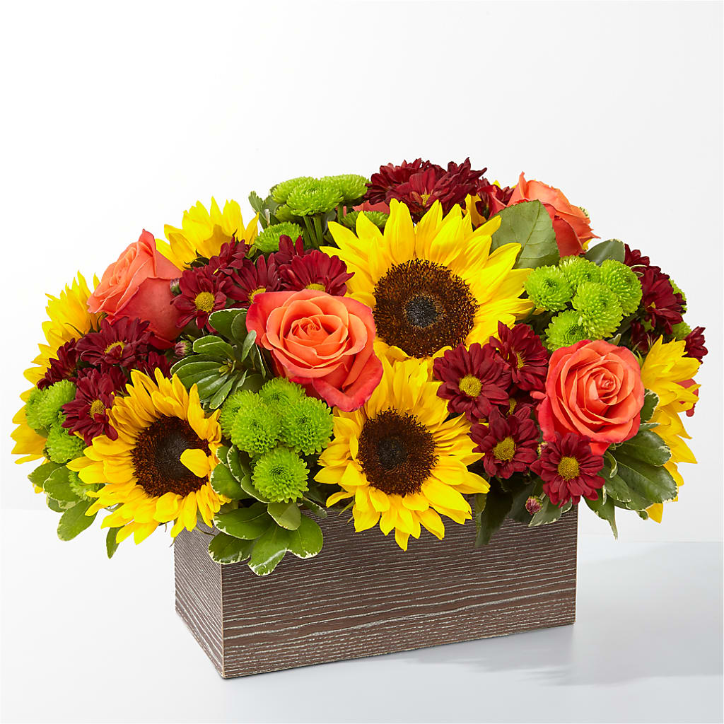 Happy Harvest Garden – Samantha Rose Designs, Marietta GA