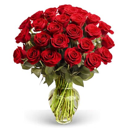 Long Stem Red Roses
