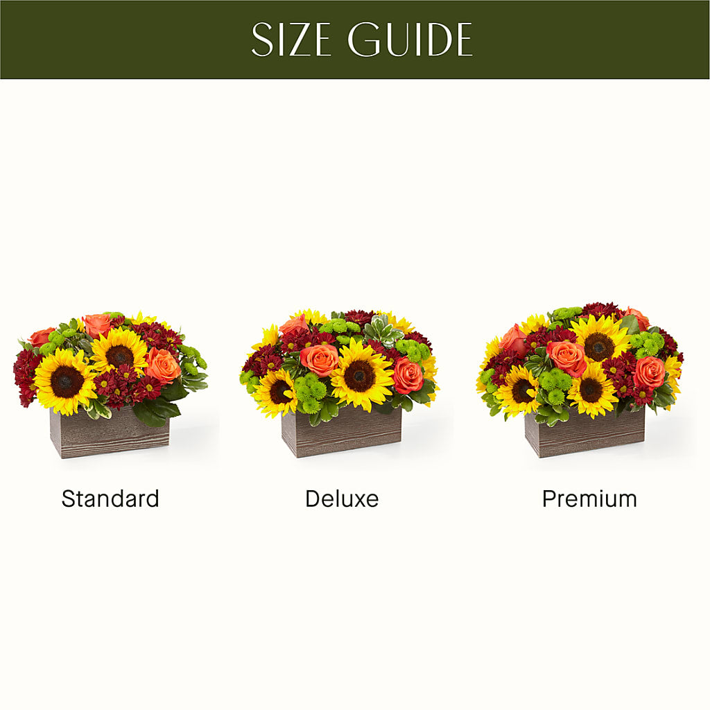 Happy Harvest Garden –  Samantha Rose Designs, Marietta GA