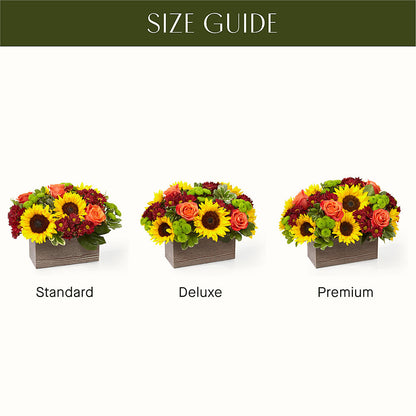Happy Harvest Garden –  Samantha Rose Designs, Marietta GA