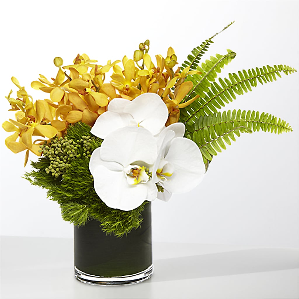 The Tropics –  Samantha Rose Designs, Marietta GA
