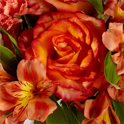 Apricot Glow Bouquet –  Samantha Rose Designs, Marietta GA