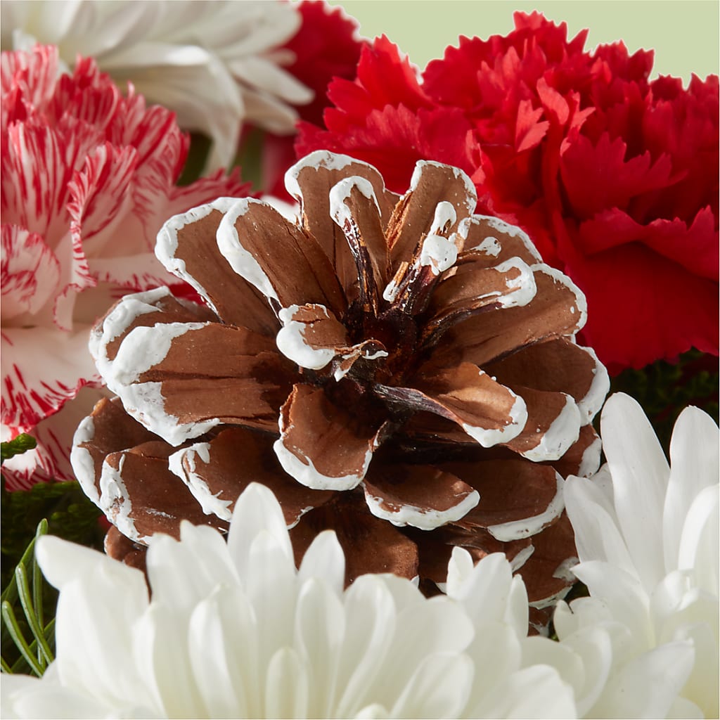 Candy Cane Lane Bouquet –  Samantha Rose Designs, Marietta GA