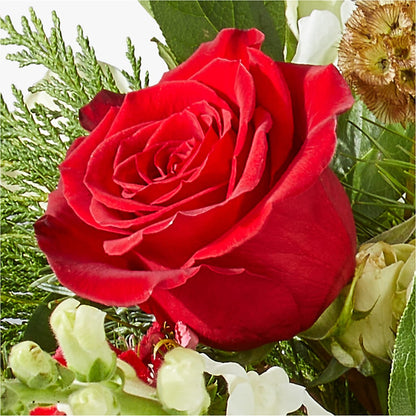 Deck the Halls Bouquet –  Samantha Rose Designs, Marietta GA